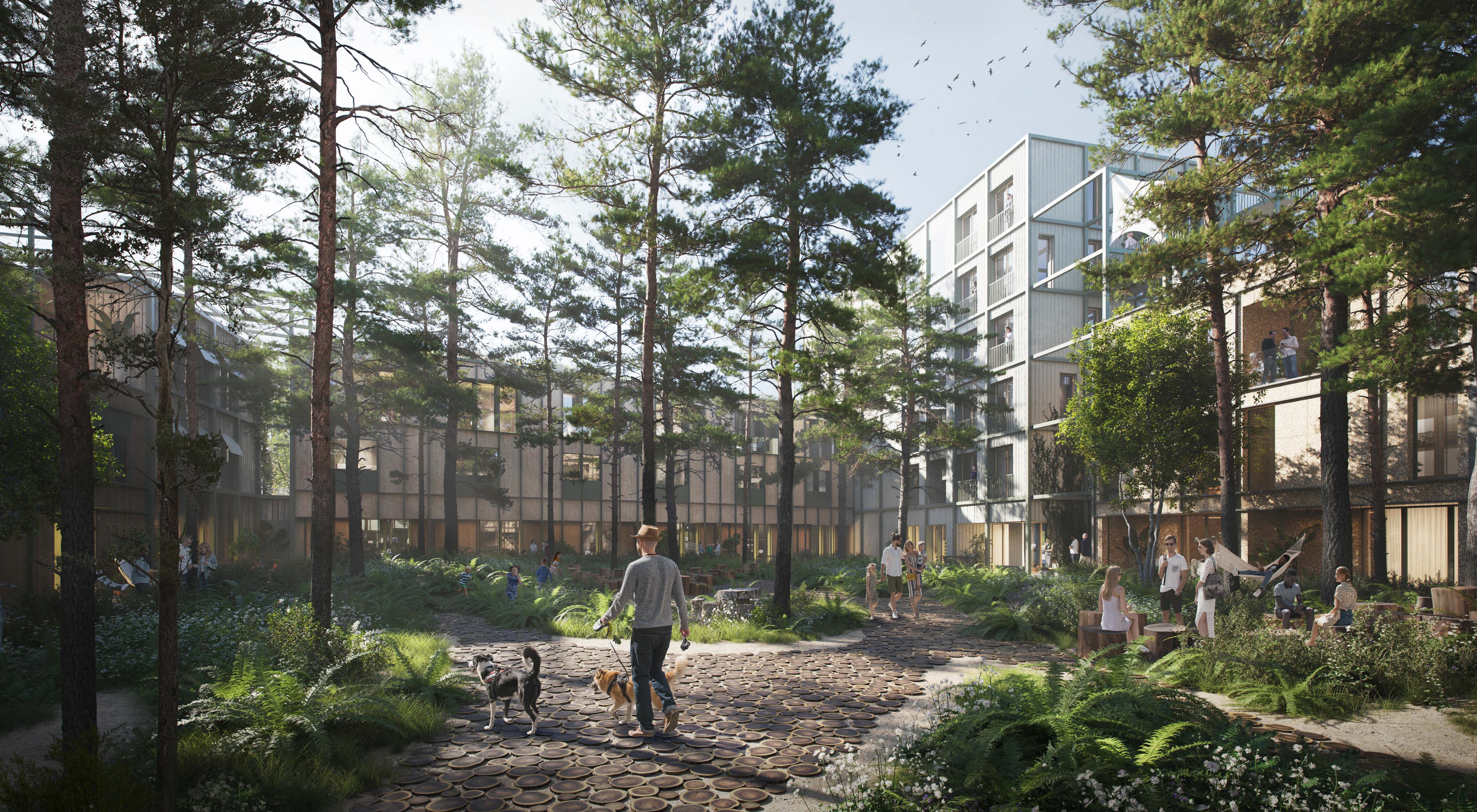 Ballast Nedam realiseert eerste bouwproject Strandeiland Amsterdam